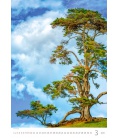Wall calendar Trees/Bäume/Stromy 2024