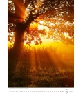 Wall calendar Nature Emotions 2024