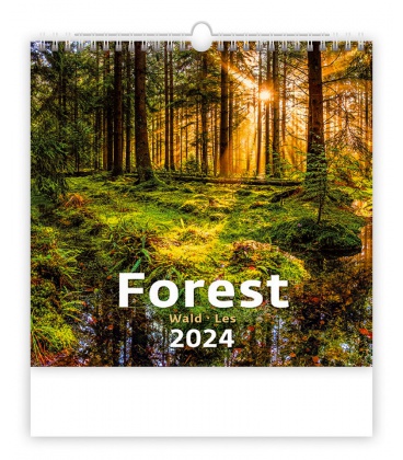 Wandkalender Forest/Wald/Les 2024