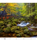Wandkalender Forest/Wald/Les 2024