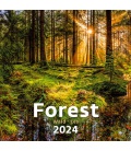 Wall calendar Forest/Wald/Les 2024