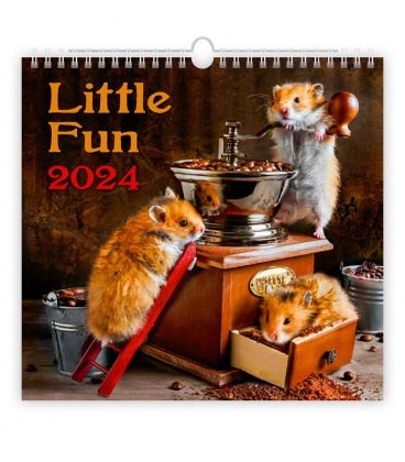 Nástěnný kalendář Little Fun 2024
