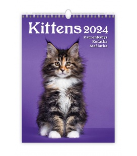 Wall calendar Kittens/Katzenbabys/Koťátka/Mačičky 2024