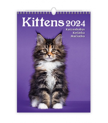 Nástěnný kalendář Kittens/Katzenbabys/Koťátka/Mačičky 2024
