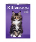 Wandkalender Kittens/Katzenbabys/Koťátka/Mačičky 2024