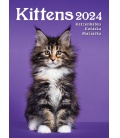 Nástěnný kalendář Kittens/Katzenbabys/Koťátka/Mačičky 2024