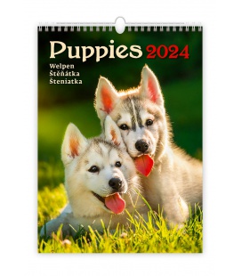 Wall calendar Puppies/Welpen/Štěňátka/Šteniatka 2024