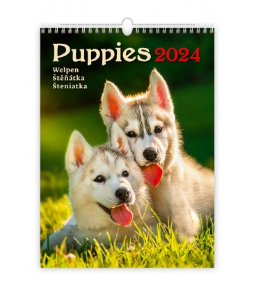 Wandkalender Puppies/Welpen/Štěňátka/Šteniatka 2024