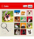 Nástěnný kalendář Cats 2024