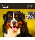 Wall calendar Dogs 2024