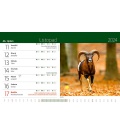 Table calendar Myslivecký kalendář 2024