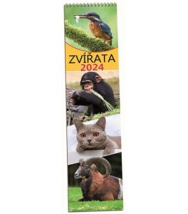 Wall calendar Zvířata - vázanka 2024
