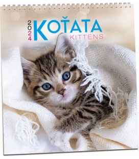 Wall calendar Koťata - Kittens 2024