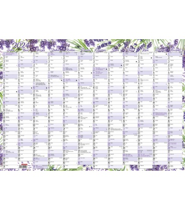 Nástěnný kalendář roční (600x420 mm) - Levandule 2024