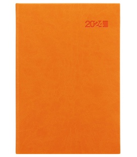 Daily Diary A5 Viva orange 2024