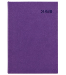 Daily Diary A5 Viva purple 2024