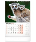 Wall calendar Za zvířaty do zoo 2024