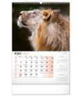 Wall calendar Za zvířaty do zoo 2024