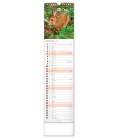 Wall calendar Lesní zvěř – Lesná zver - vázanka 2024