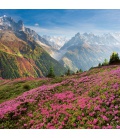 Wandkalender poznámkový Alpy 2024