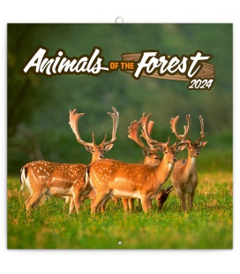 Wall calendar poznámkový Zvířátka z lesa 2024
