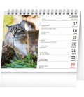 Table calendar Kočky – se jmény koček 2024