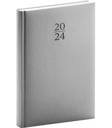 Daily diary A5 Capys silver 2024