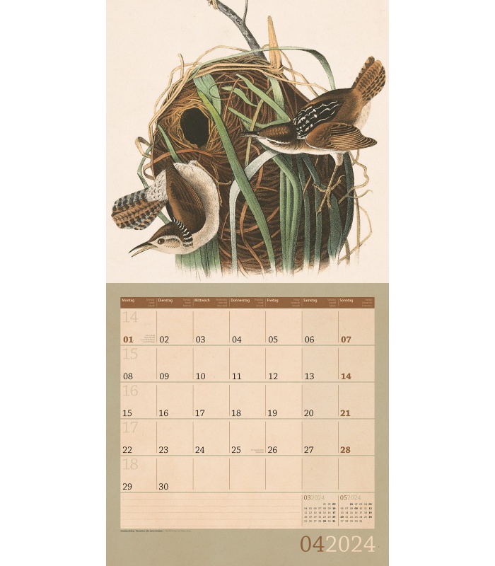 9781525611414 Oiseaux Birds Can Geo 2024 Wall Calendar (French) Wyman  Publishing - Calendar Club