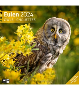 Wall calendar Owls 2024