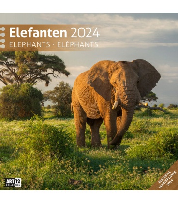 Wall calendar Elephants 2024