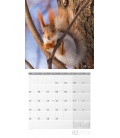 Wall calendar Squirrels 2024