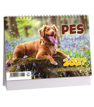 Stolní kalendář Pes - věrný přítel - ... - AK851-27 1
