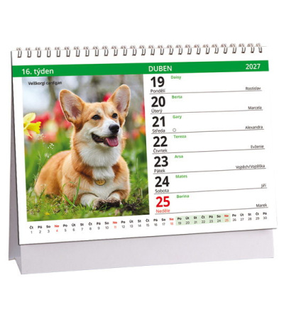 Stolní kalendář Pes - věrný přítel - ... - AK851-27 2