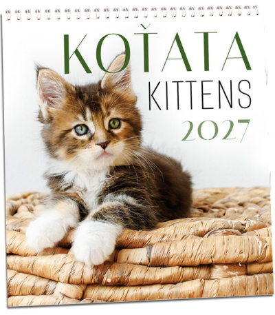 Nástěnný kalendář Koťata 2027 - AKN348-27 1
