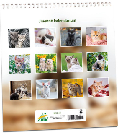 Nástěnný kalendář Koťata 2027 - AKN348-27 3
