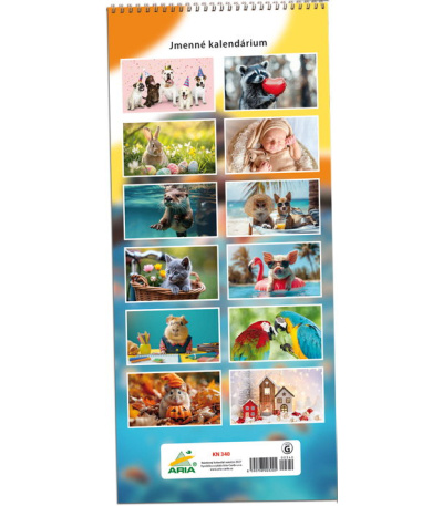 Nástěnný kalendář Rodinný plánovací -... - AKN340-27 3