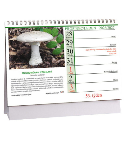 Stolní kalendář Houby 2027 - AK860-27 2