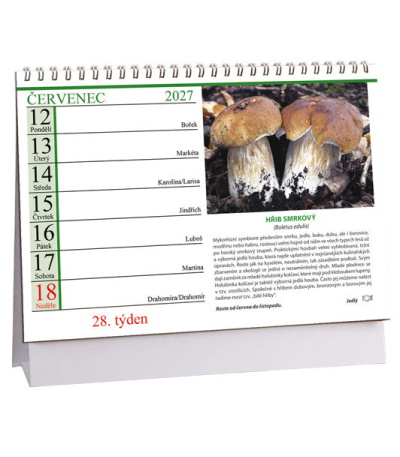 Stolní kalendář Houby 2027 - AK860-27 3