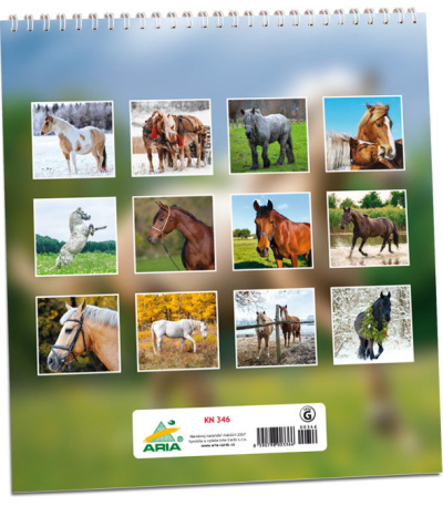 Nástěnný kalendář Koně 2027 - AKN346-27 3