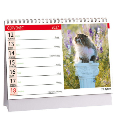 Stolní kalendář Kočky - se jmény koče... - AK849-27 2
