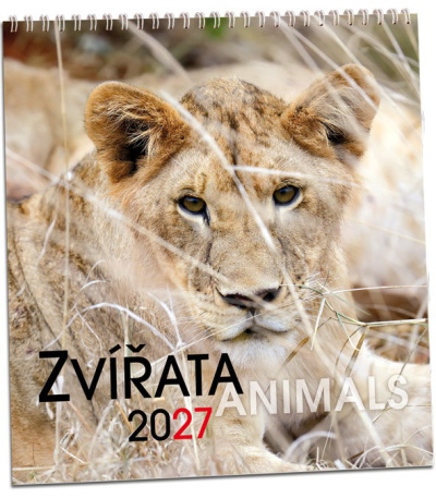 Nástěnný kalendář Zvířata 2027 - AKN350-27 1