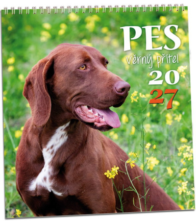 Nástěnný kalendář Pes - věrný přítel ... - AKN347-27 1