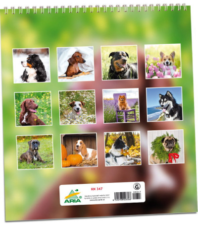 Nástěnný kalendář Pes - věrný přítel ... - AKN347-27 3
