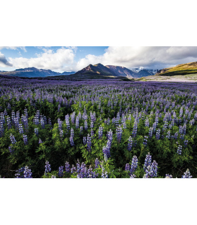 Nástěnný kalendář Světové národní par... - BNK21-27 4