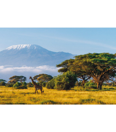 Nástěnný kalendář Světové národní par... - BNK21-27 11