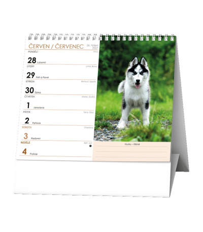 Stolní kalendář IDEÁL - Pes - věrný p... - BSL7-27 2