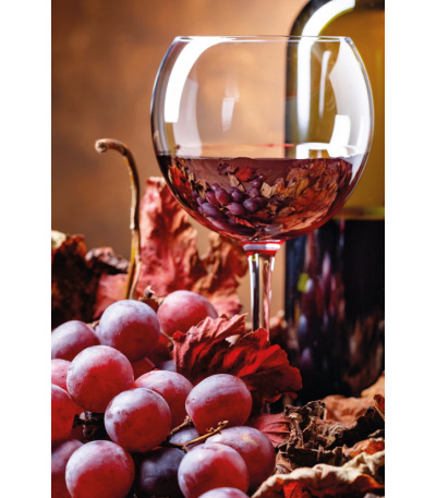 Nástěnný kalendář Víno - A3 2027 - BNF1-27 3