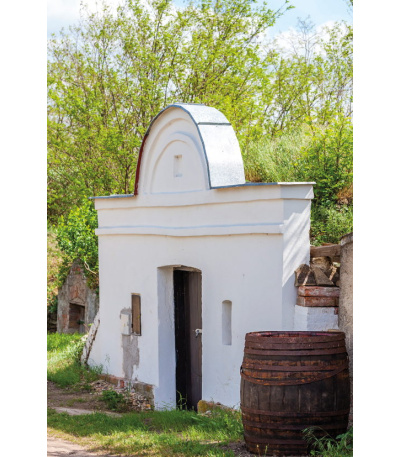 Nástěnný kalendář Víno - A3 2027 - BNF1-27 5