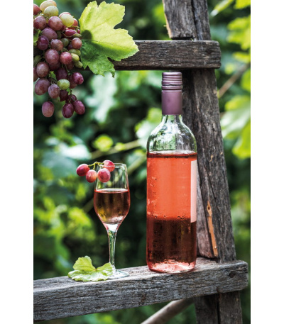 Nástěnný kalendář Víno - A3 2027 - BNF1-27 6