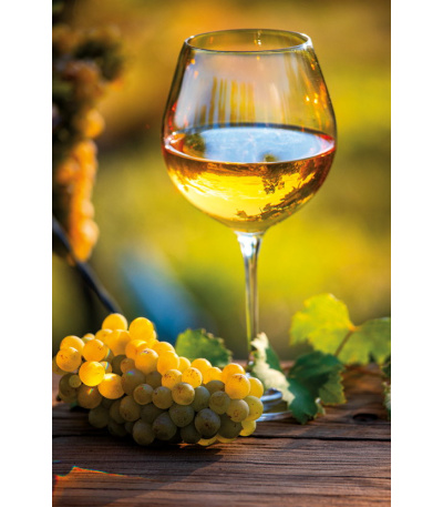 Nástěnný kalendář Víno - A3 2027 - BNF1-27 8